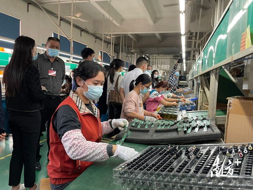 家門口學技能 就好業——中山持續派發就業服務大禮包，信息技術咨詢服務成亮點